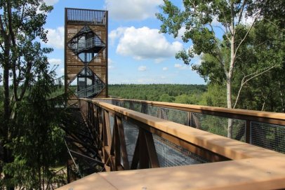 Medžių lajų takui – pasaulinis turizmo įvertinimas 