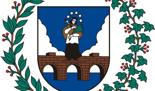 Ieškomas socialinio darbo organizatoriaus