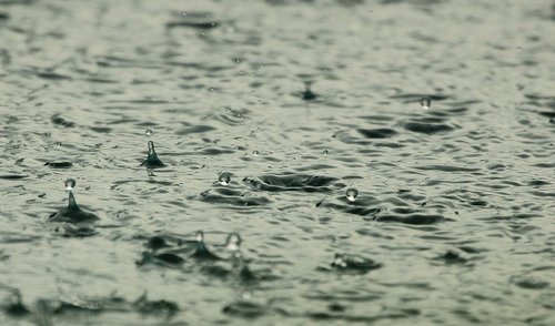 Tartasi dėl nepalankių oro sąlygų poveikio ūkininkavimui