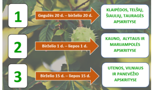 Aplinkosaugos projektas „Mes rūšiuojam. Vasara“ kviečia mažinti atliekas bendruomeniškai