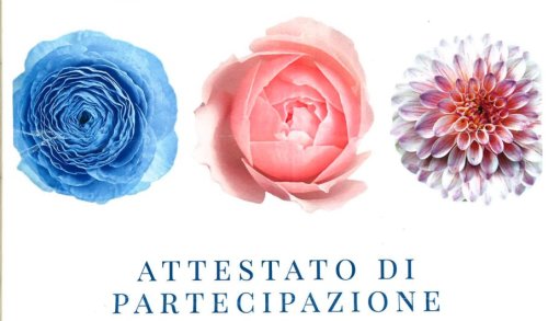 ANYKŠČIAI – EUROPOS FLORISTINIŲ KILIMŲ FESTIVALYJE