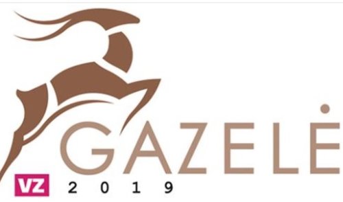 Gazelė – svarbiausias metų renginys smulkiam ir vidutiniam verslui