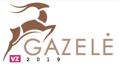 Gazelė – svarbiausias metų renginys smulkiam ir vidutiniam verslui