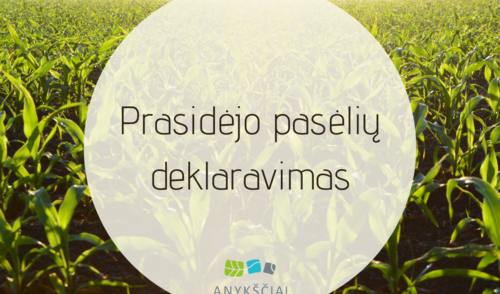 Prasidėjo pasėlių deklaravimas