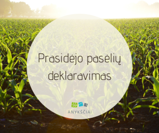 Prasidėjo pasėlių deklaravimas