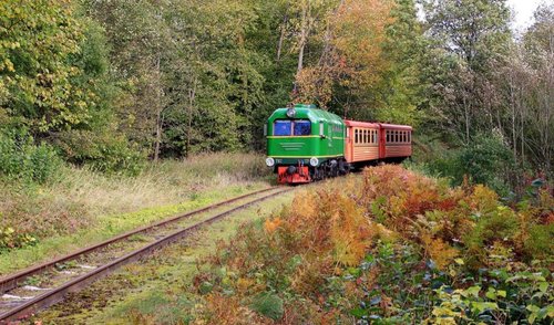 Siaurukas pradeda keliauti reguliariais reisais
