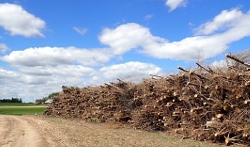 APLEISTŲ ŽEMIŲ PLOTŲ TINKAMAS SUTVARKYMAS