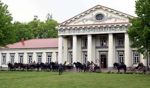Žemaitukų kinkiniai šiandien prie Lajų tako