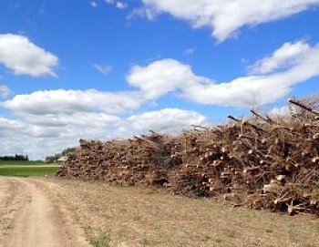 APLEISTŲ ŽEMIŲ PLOTŲ TINKAMAS SUTVARKYMAS