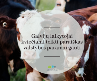 Galvijų laikytojai kviečiami teikti paraiškas valstybės paramai gauti