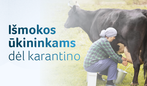 Išmokos smulkiesiems ūkininkams: kam priklauso, kur kreiptis ir kada pasieks pinigines