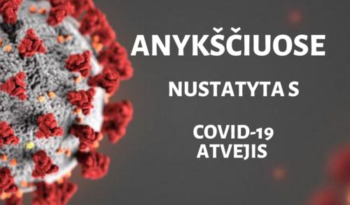 Anykščiuose nustatytas COVID-19 atvejis