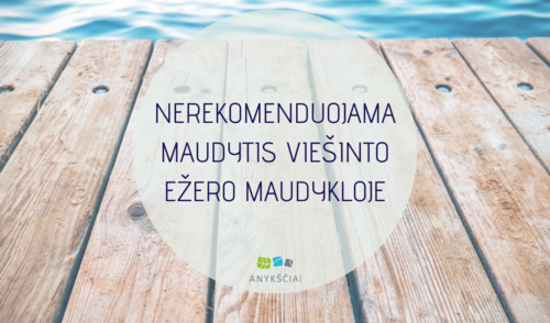 NEREKOMENDUOJAMA MAUDYTIS VIEŠINTO EŽERO MAUDYKLOJE 
