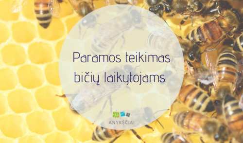 Paramos teikimas bičių laikytojams 