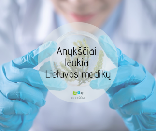 ANYKŠČIAI LAUKIA LIETUVOS MEDIKŲ