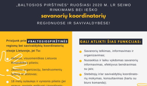 Visuomeninė organizacija „Baltosios pirštinės“ ruošiasi artėjantiems 2020 m. spalio 11 d. Seimo...