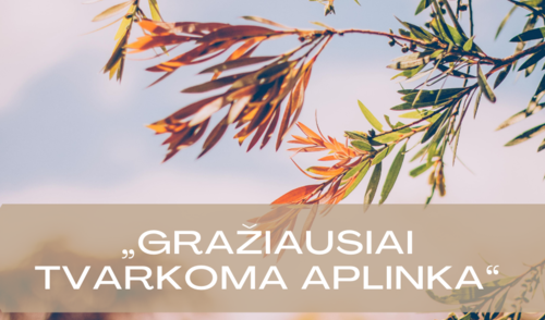 Kviečiame balsuoti ir išrinkti gražiausiai tvarkomą aplinką