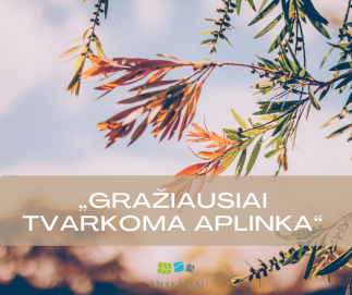 Kviečiame balsuoti ir išrinkti gražiausiai tvarkomą aplinką