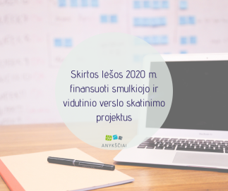 SKIRTOS LĖŠOS 2020 M. FINANSUOTI SMULKIOJO IR VIDUTINIO VERSLO SKATINIMO PROJEKTUS