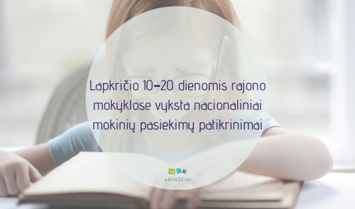 Lapkričio 10–20 dienomis rajono mokyklose vyksta nacionaliniai mokinių pasiekimų patikrinimai