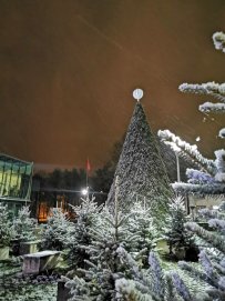 Anykščiuose šventinė nuotaika keliaus per miestą