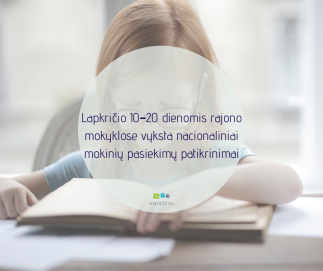 Lapkričio 10–20 dienomis rajono mokyklose vyksta nacionaliniai mokinių pasiekimų patikrinimai