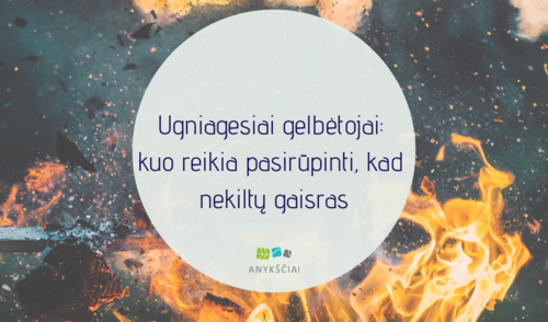 Ugniagesiai gelbėtojai: kuo reikia pasirūpinti, kad nekiltų gaisras