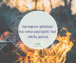 Ugniagesiai gelbėtojai: kuo reikia pasirūpinti, kad nekiltų gaisras