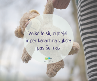 Vaiko teisių gynėjai ir per karantiną vyksta pas šeimas