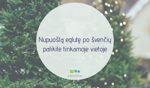 Nupuoštą eglutę po švenčių palikite tinkamoje vietoje