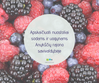 Apskaičiuoti nuostoliai sodams ir uogynams Anykščių rajono savivaldybėje