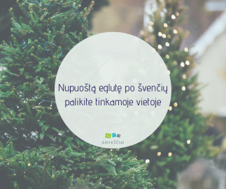 Nupuoštą eglutę po švenčių palikite tinkamoje vietoje
