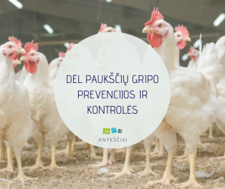 DĖL PAUKŠČIŲ GRIPO PREVENCIJOS IR KONTROLĖS
