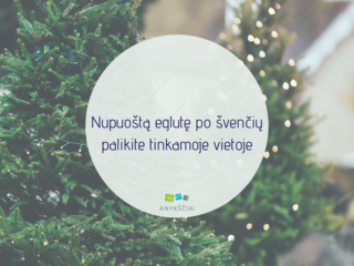 NUPUOŠTĄ EGLUTĘ PO ŠVENČIŲ PALIKITE TINKAMOJE VIETOJE