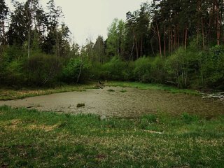 Karalienės liūnas Anykščiuose slepia paslaptį