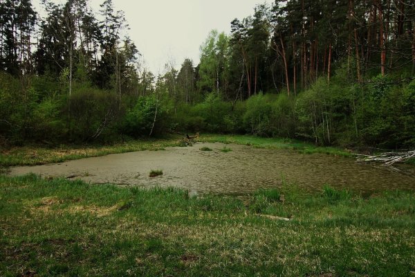 Karalienės liūnas Anykščiuose slepia paslaptį
