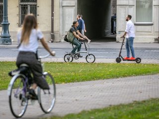 DĖL SUAUGUSIŲJŲ GYVENSENOS STEBĖSENOS TYRIMO VYKDYMO SAVIVALDYBĖSE