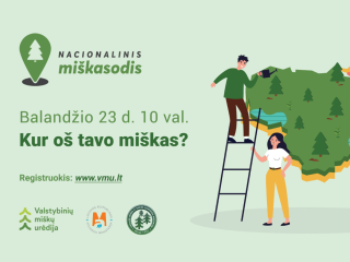 Nacionalinis miškasodis