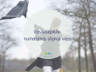 Pasisaugokite: numatomas stiprus vėjas