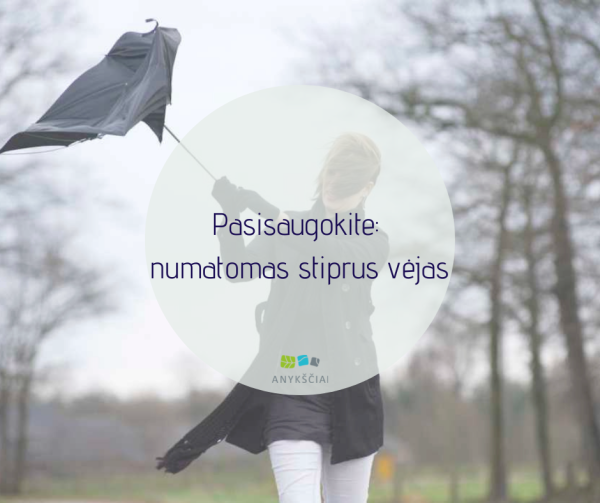 Pasisaugokite: numatomas stiprus vėjas