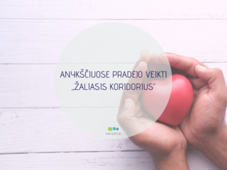 ANYKŠČIUOSE PRADĖJO VEIKTI „ŽALIASIS KORIDORIUS“