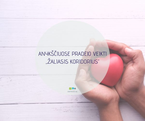 ANYKŠČIUOSE PRADĖJO VEIKTI „ŽALIASIS KORIDORIUS“