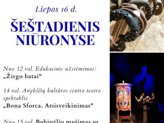 Šeštadienis Niūronyse