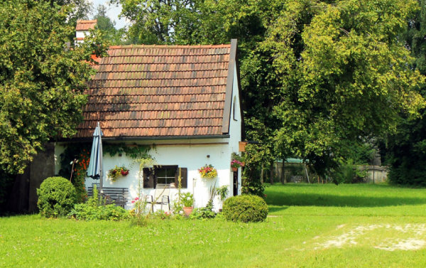 Medžių ar krūmų kirtimas nuosavame sklype: ką turi žinoti gyventojai?