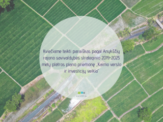 Kviečiame teikti paraiškas pagal Anykščių rajono savivaldybės strateginio 2019–2025 metų plėtros...