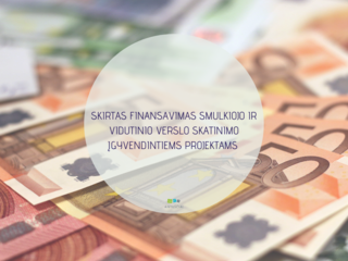 SKIRTAS FINANSAVIMAS SMULKIOJO IR VIDUTINIO VERSLO SKATINIMO ĮGYVENDINTIEMS PROJEKTAMS 