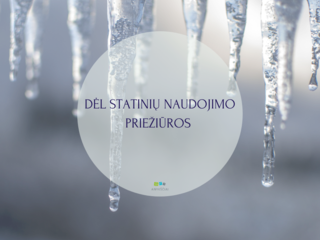 DĖL STATINIŲ NAUDOJIMO PRIEŽIŪROS 