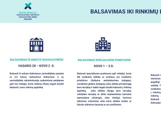 VRK PRIMENA: KAIP REITINGUOTI KANDIDATUS IR KAIP VYKSTA BALSAVIMAS VOKAIS?