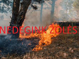 Priešgaisrinės gelbėjimo tarnybos pareigūnai Anykščių rajone rengia reidus „Nedegink žolės“