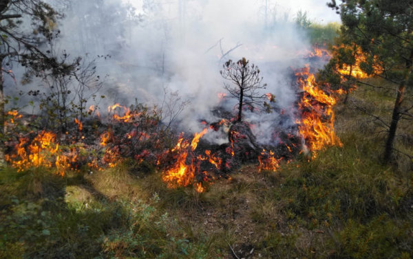 Pavasariniams gaisrams užkardyti – prevenciniai miškininkų reidai